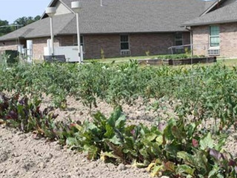 Outdoor Garden