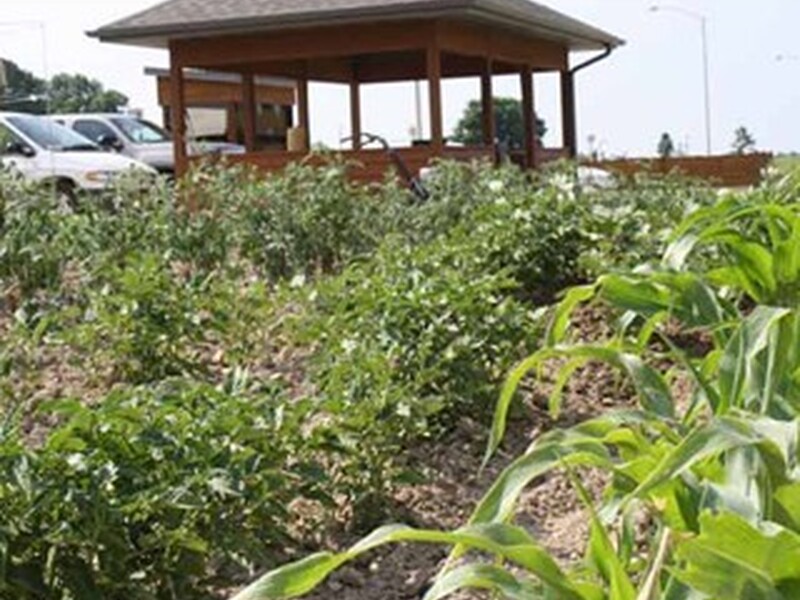 Outdoor Garden